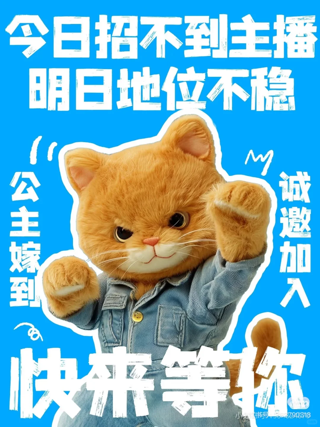 🔥【大厂急招！不露脸口播主播｜新人小白/资深