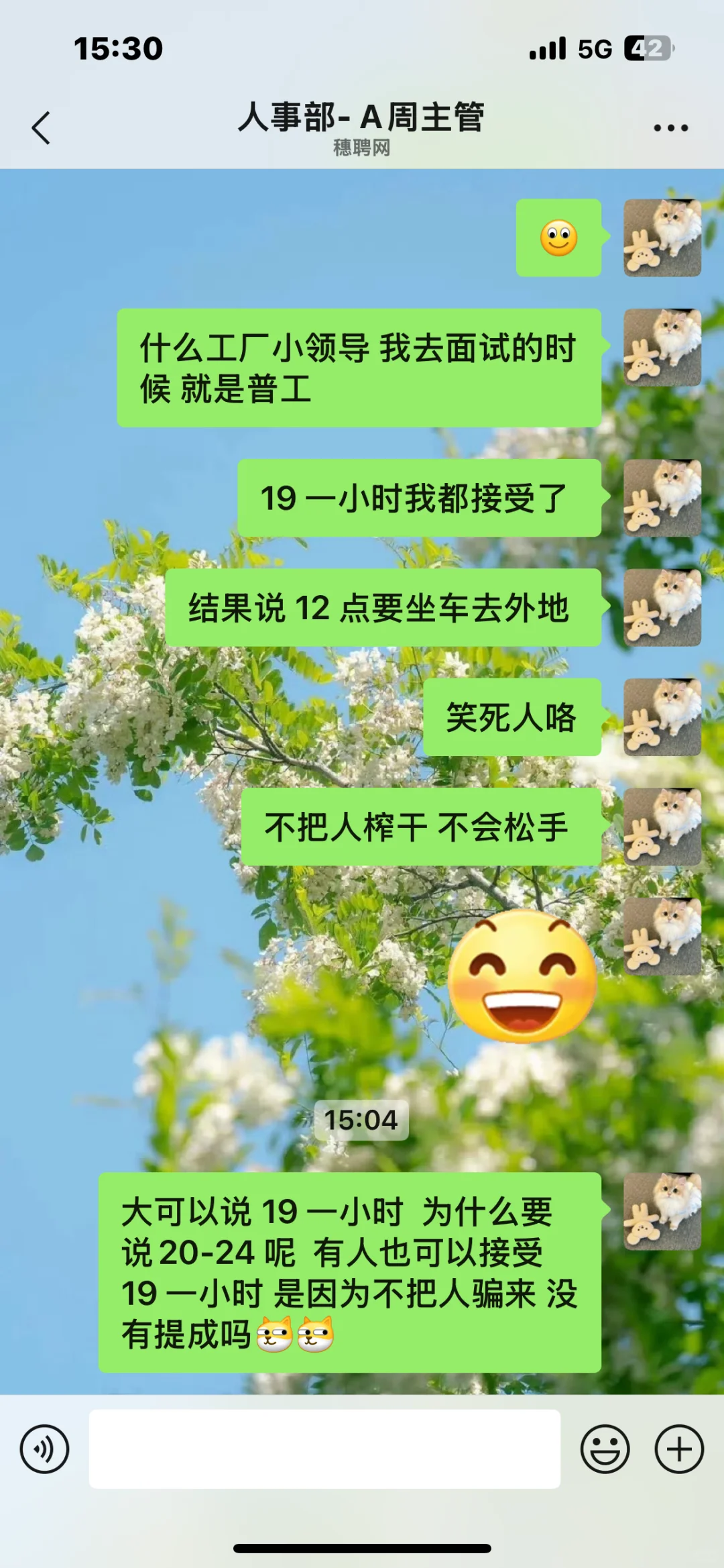 避雷穗聘网