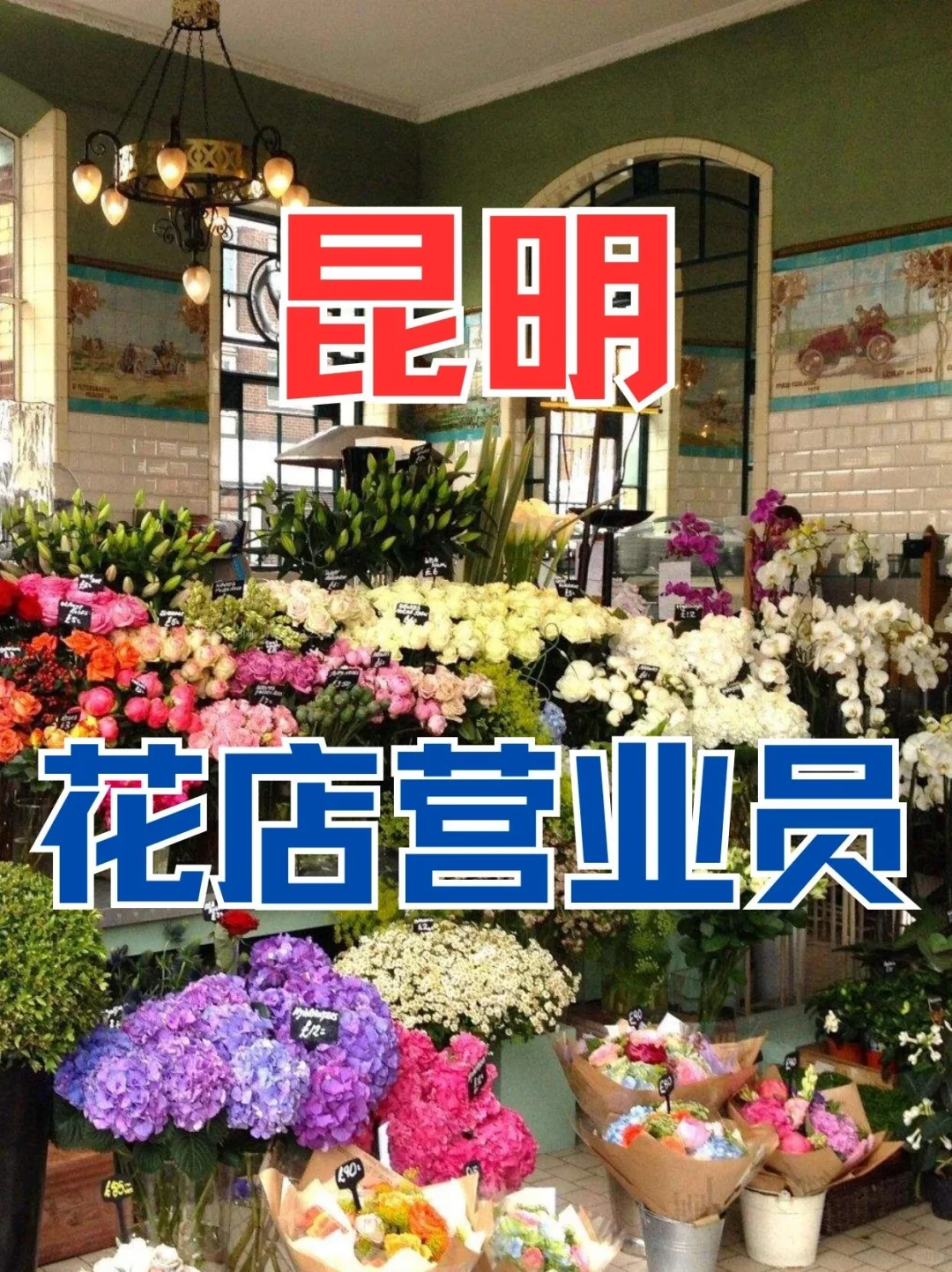 昆明五华区花店营业员，1⃣4⃣0⃣/天
