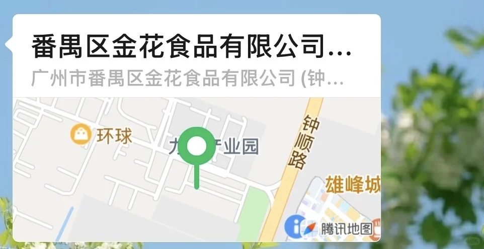 避雷穗聘网