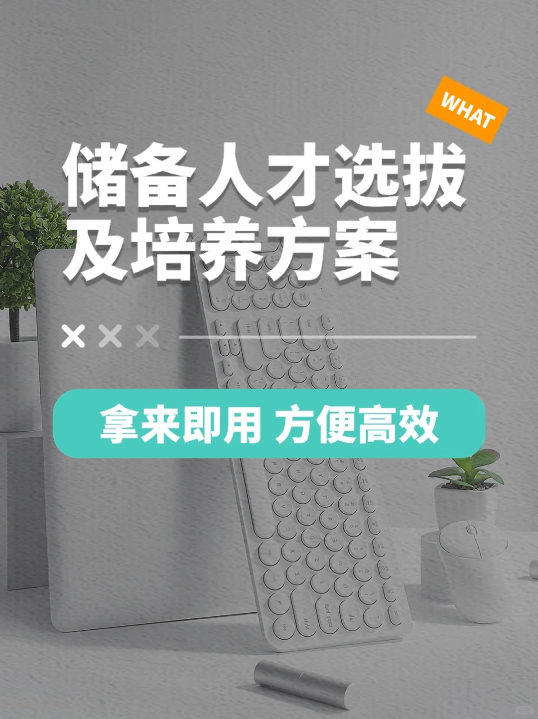 HR干货｜🔥储备人才选拔及培养方案