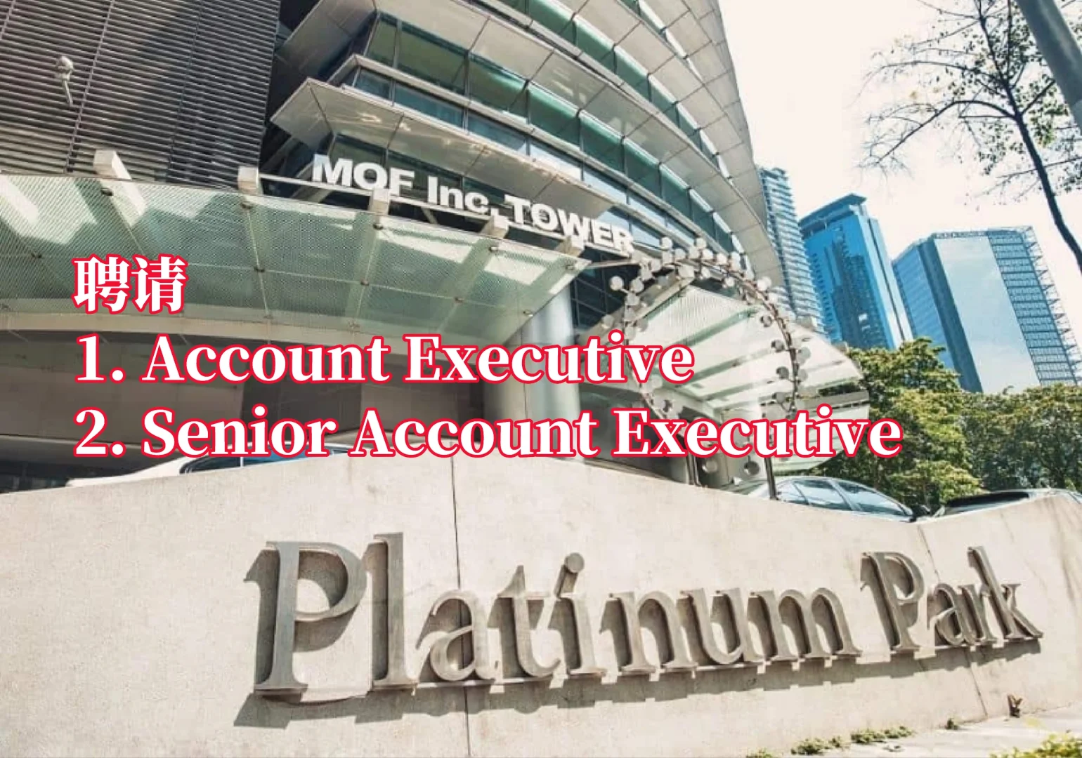 急聘Account Executive（Junior/Senior）