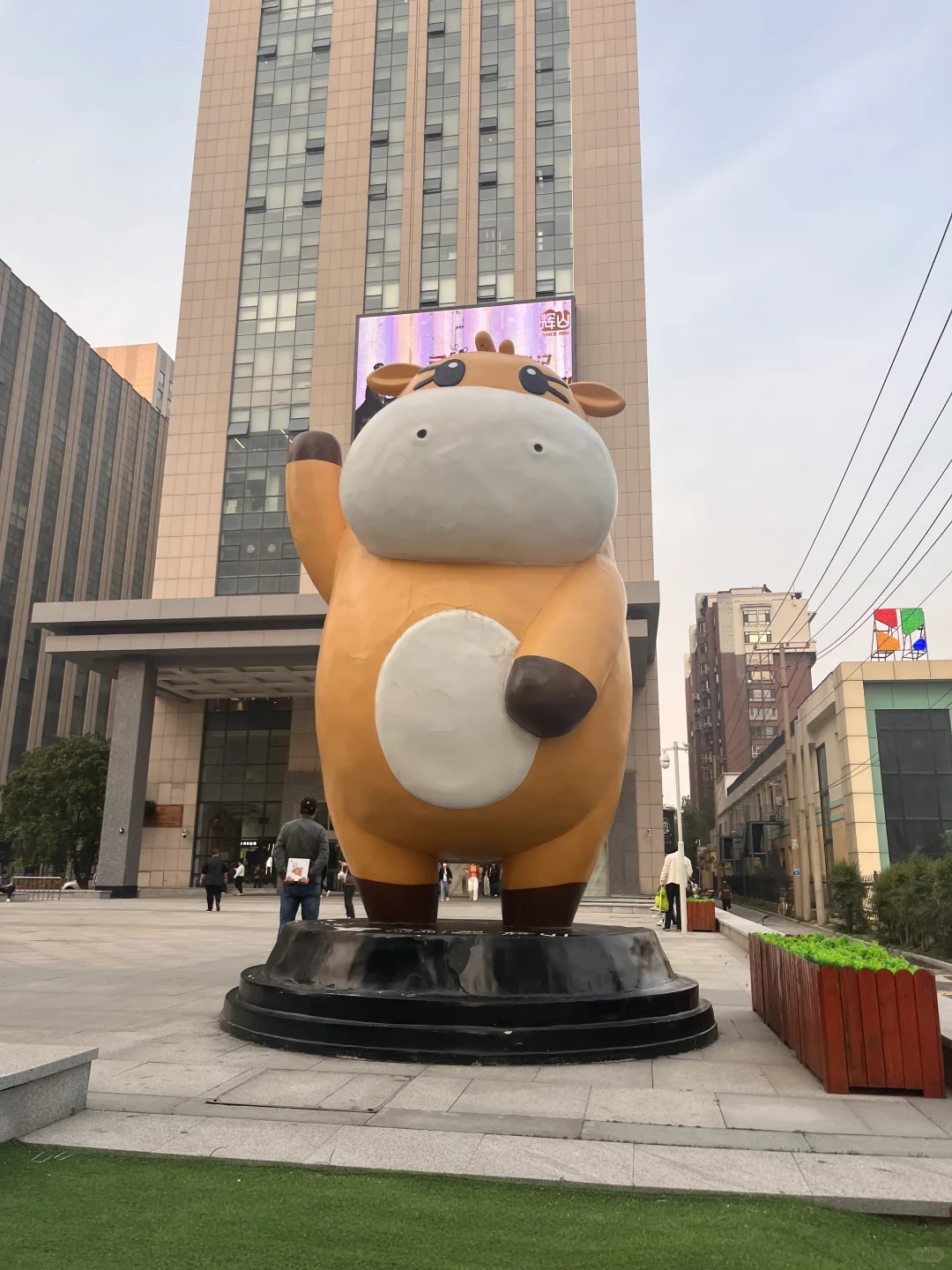沈阳！双休互联网大厂 ！五险一金可内推