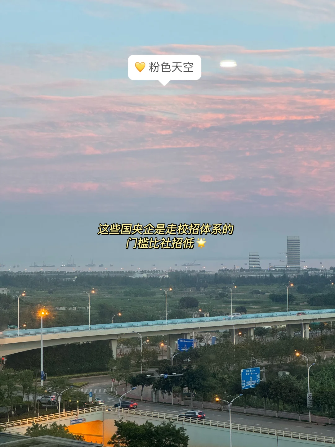 国央企是懂怎么捞往届的😭