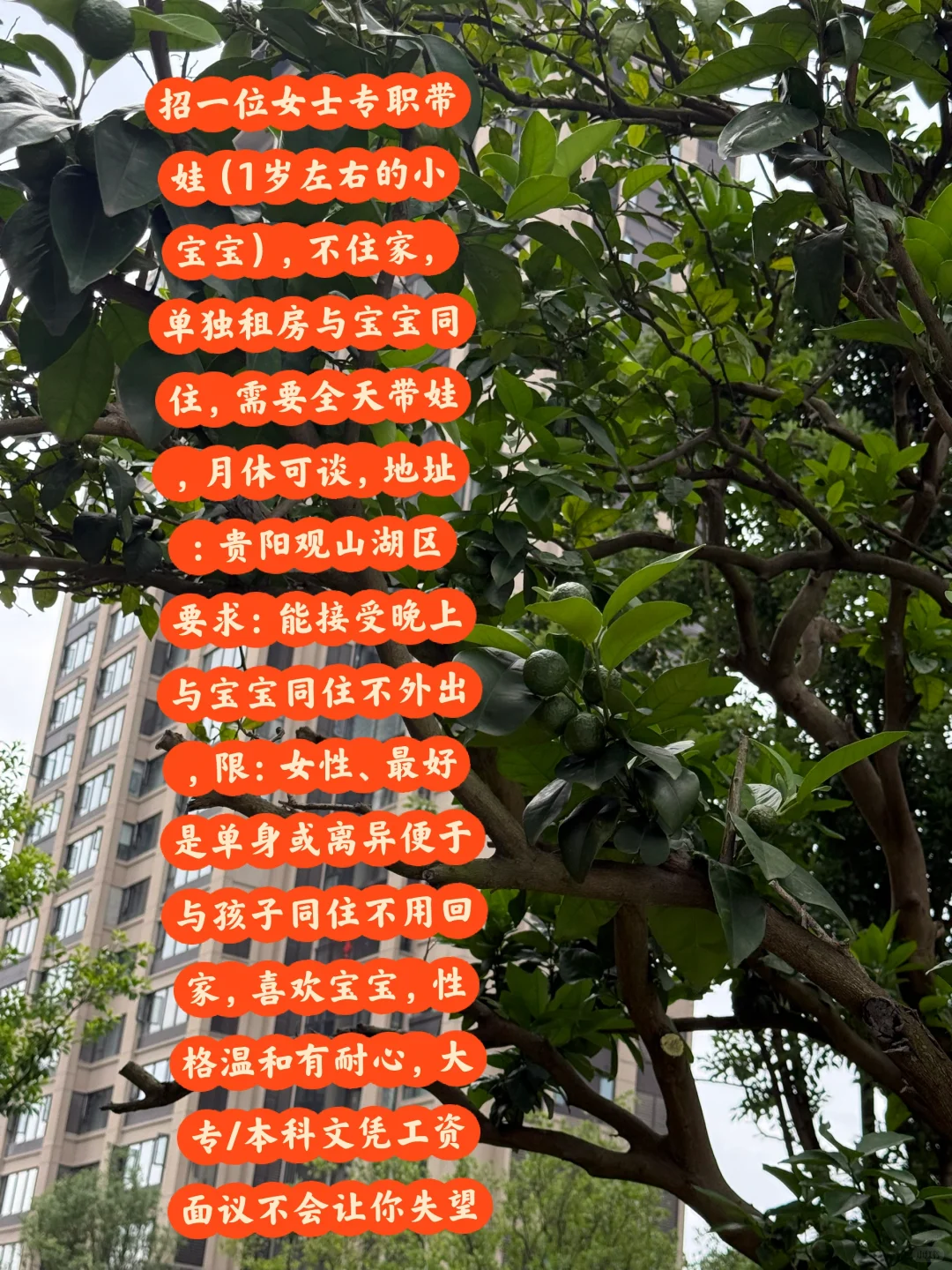 #招有缘人