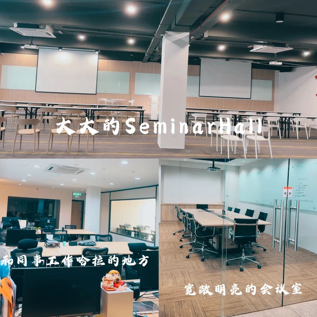 公司要扩展，有人要跟我当同事吗🥰