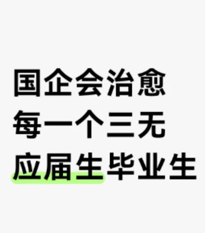 国企会治愈每一个三无应届生毕业生