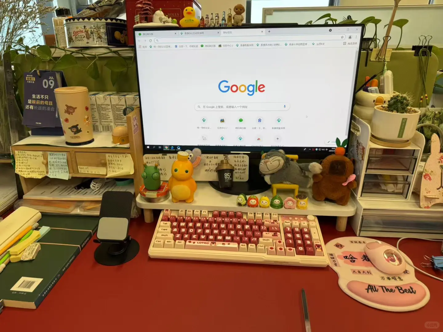 泉州招聘：快来我们公司和我一起养鱼🐟啊
