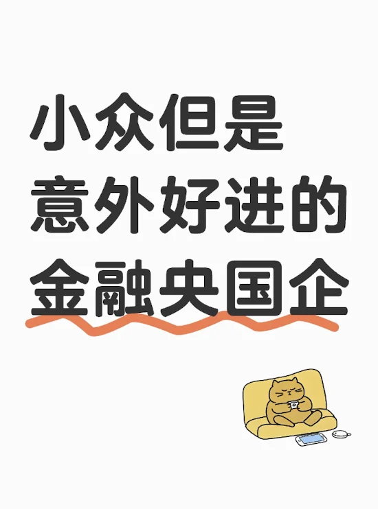 小众但是意外好进的金融央国企