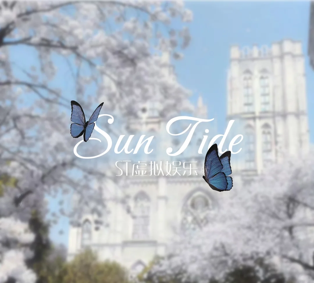 SunTide虚拟娱乐公司大型招人