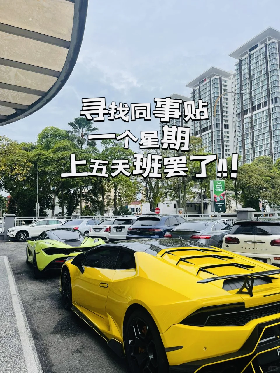 公司要扩展，有人要跟我当同事吗🥰
