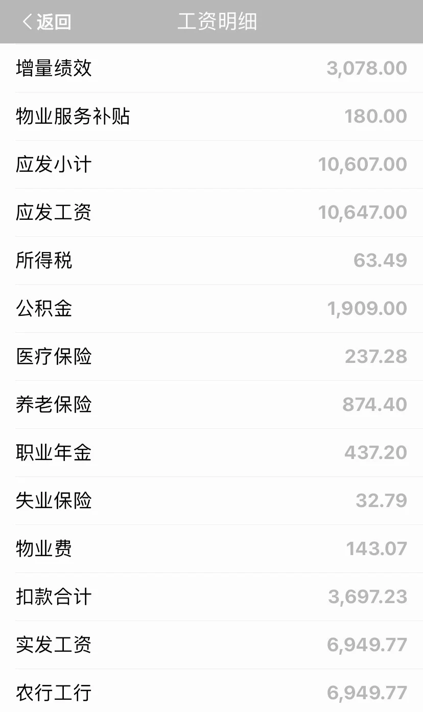 高校牛马现状