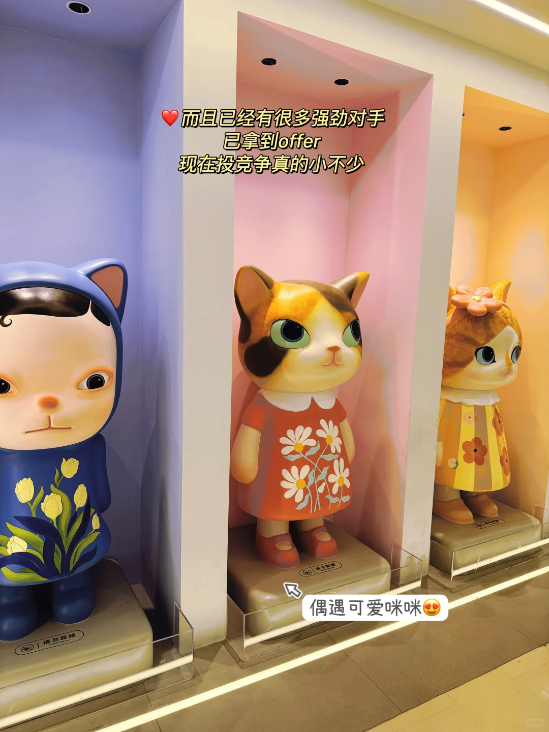国央企是懂怎么捞往届的😭