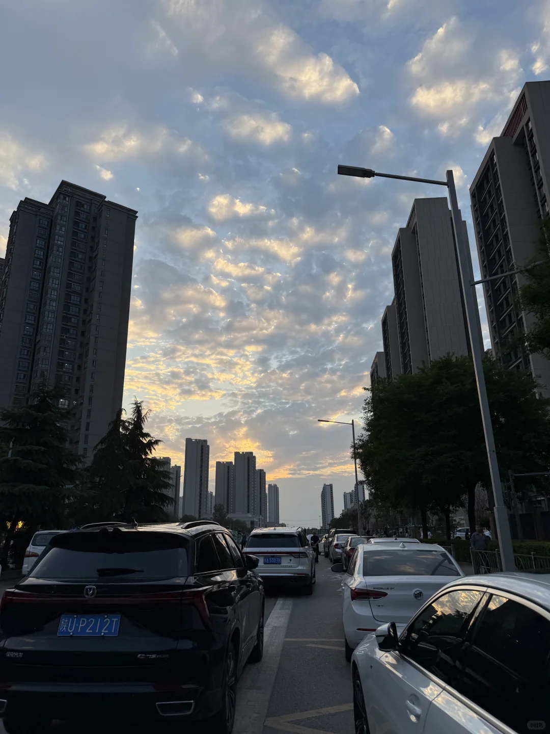 这是什么神仙工作📷