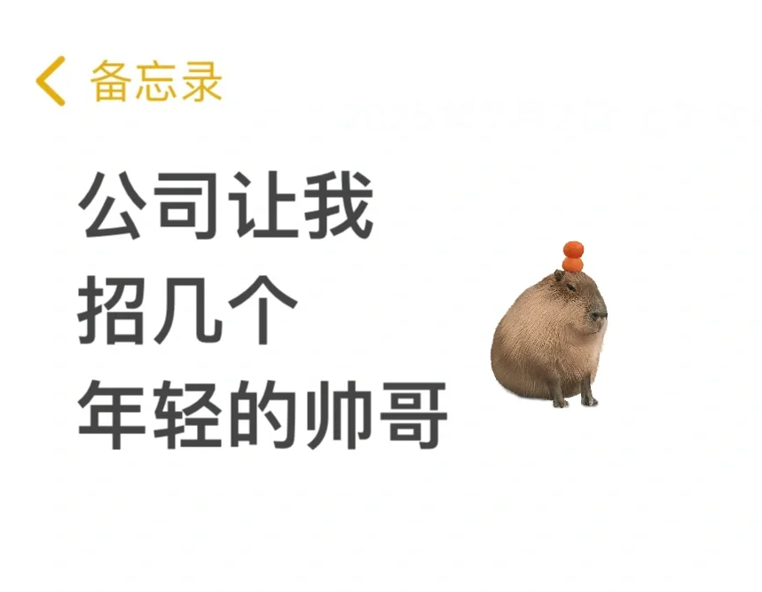 公司让我招几个年轻的帅哥不帅的不要