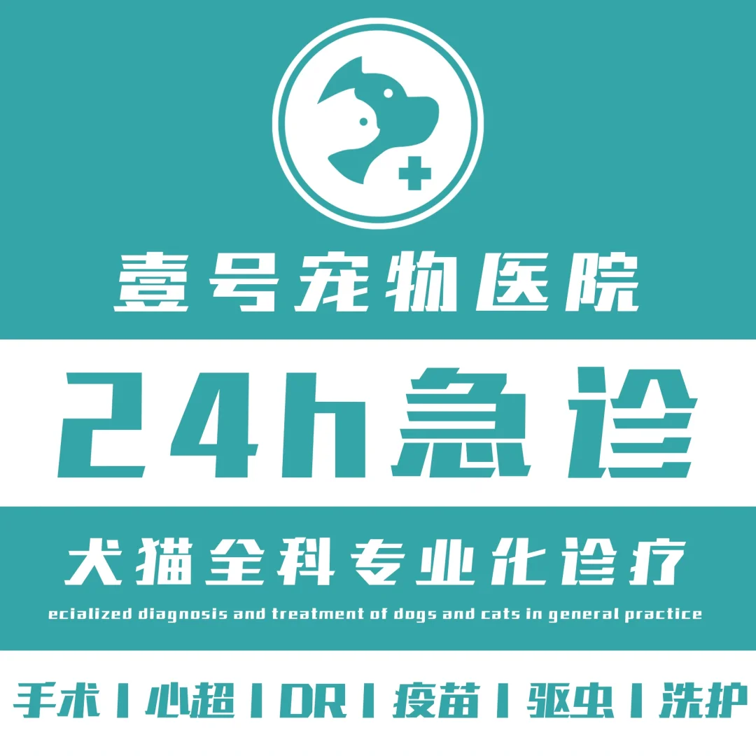 这样的宠物医院能不能招到人！