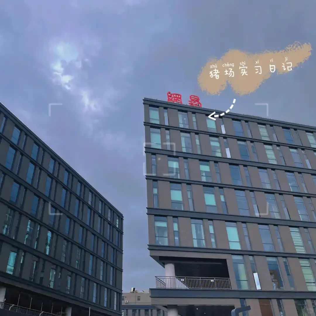 🎮网易雷火校招内推来啦！扫码即享！