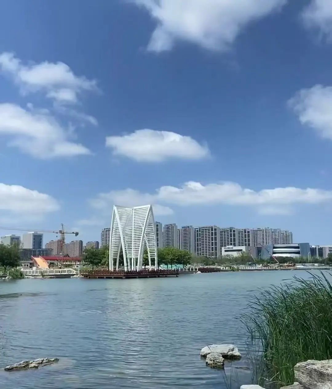 被boss zp逼急眼了来小地瓜招人了