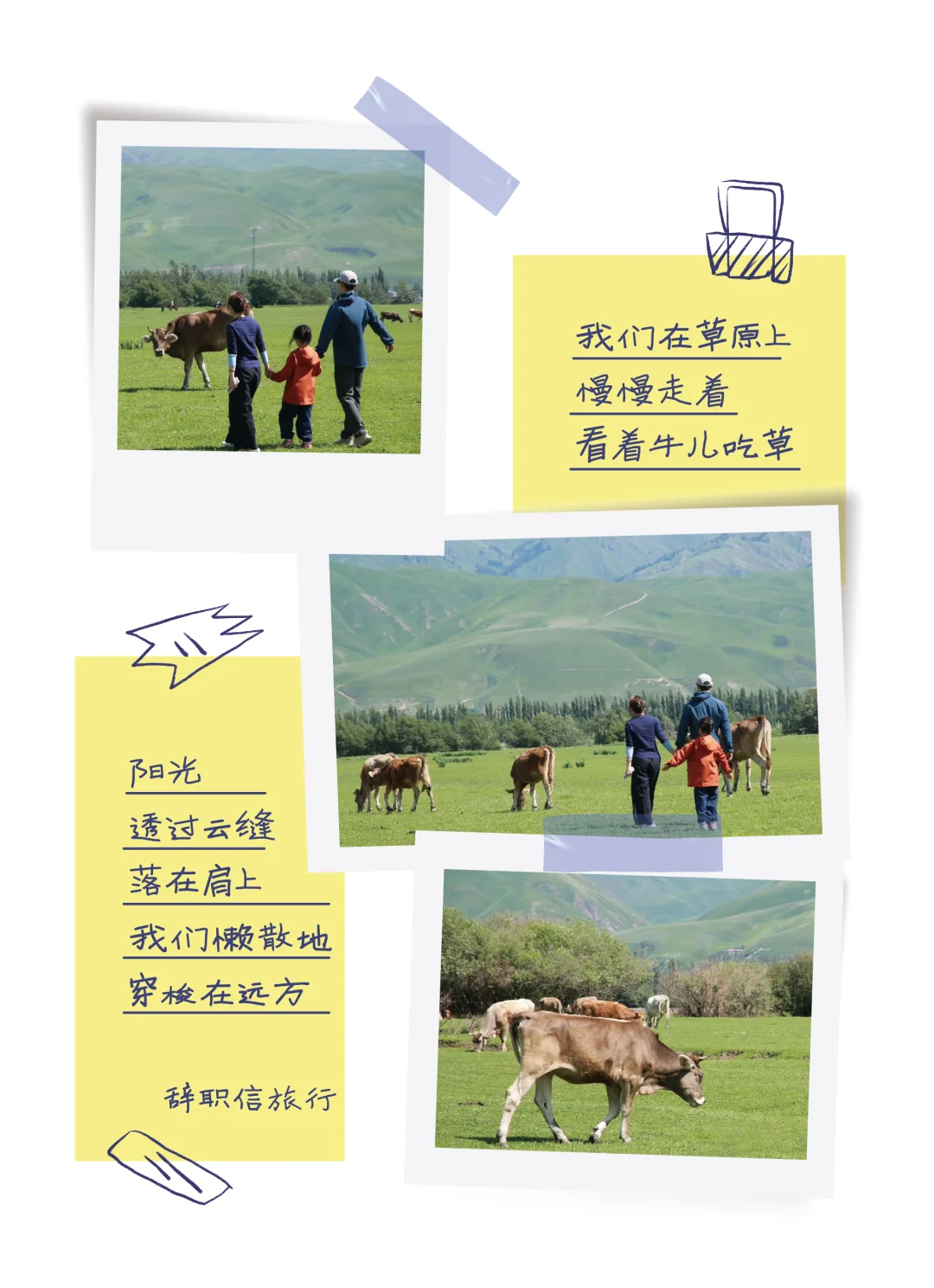 成都旅行社招聘🌾一个年轻人的小窝