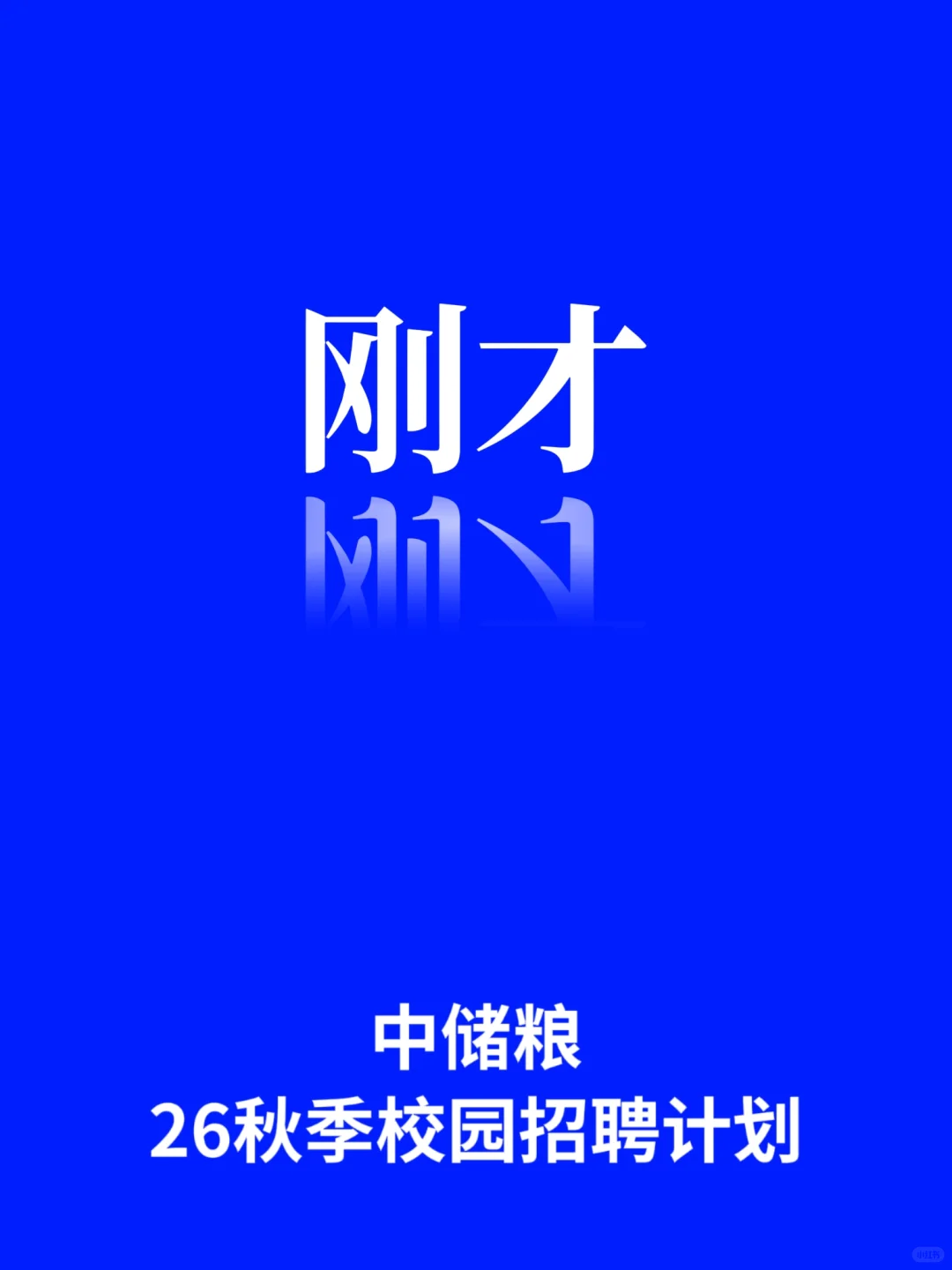 中储粮25年下半年招聘公告