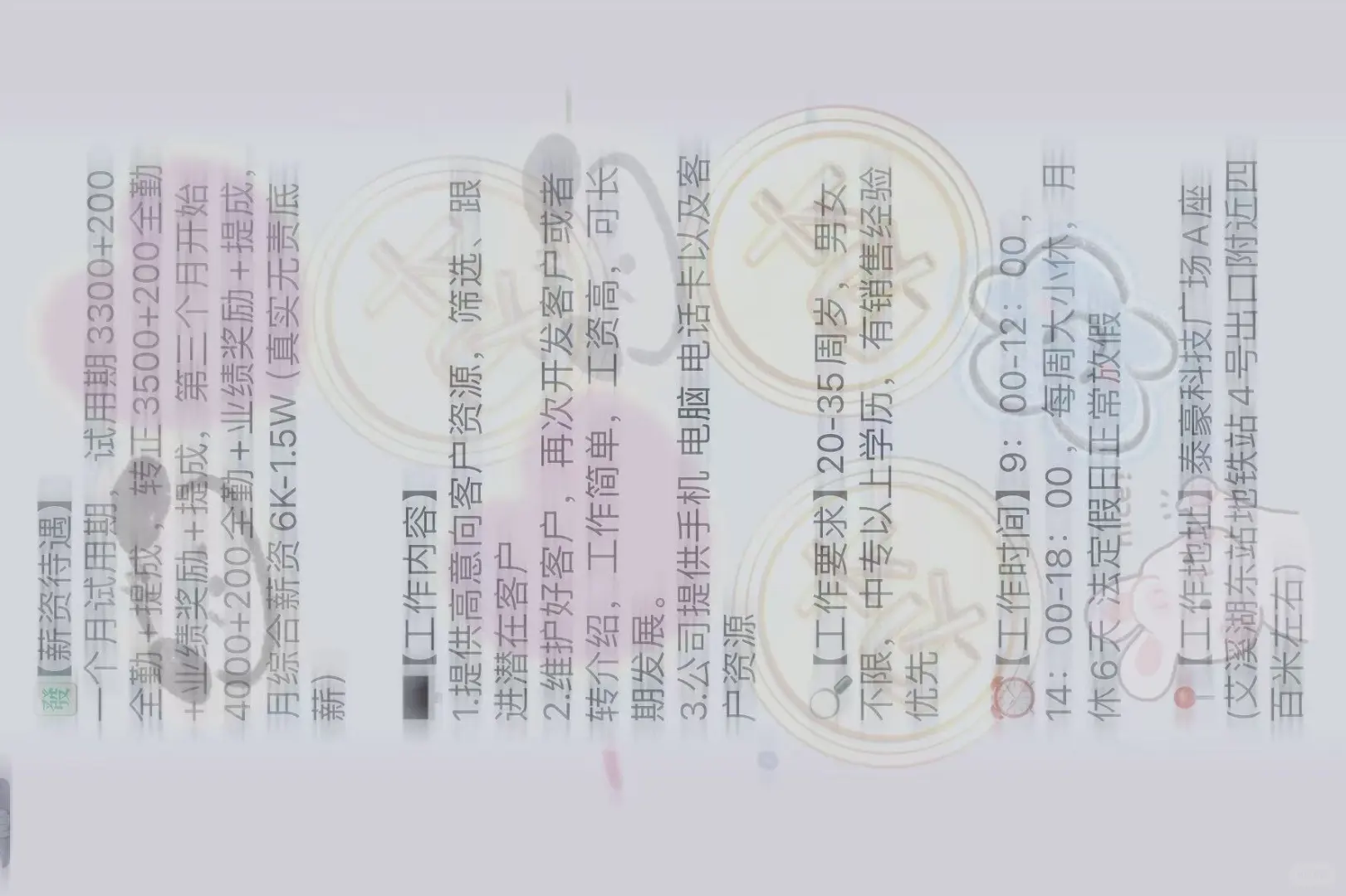 看猫猫+找工作=双管齐下