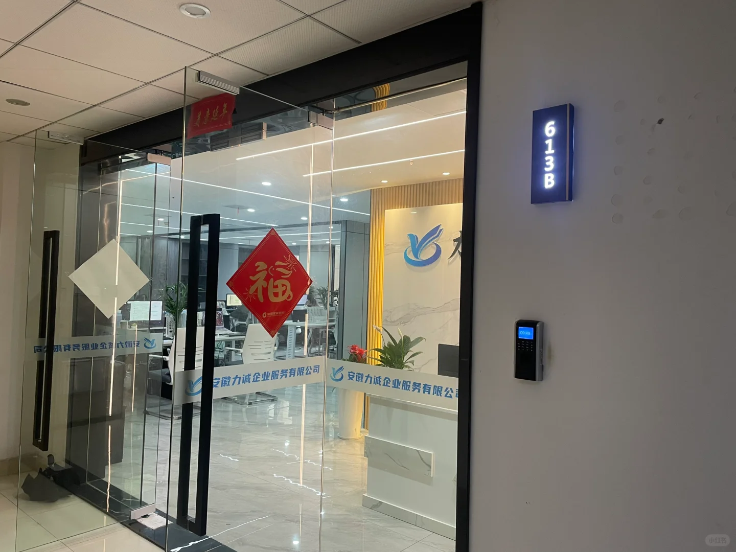 谁家公司这么有氛围感