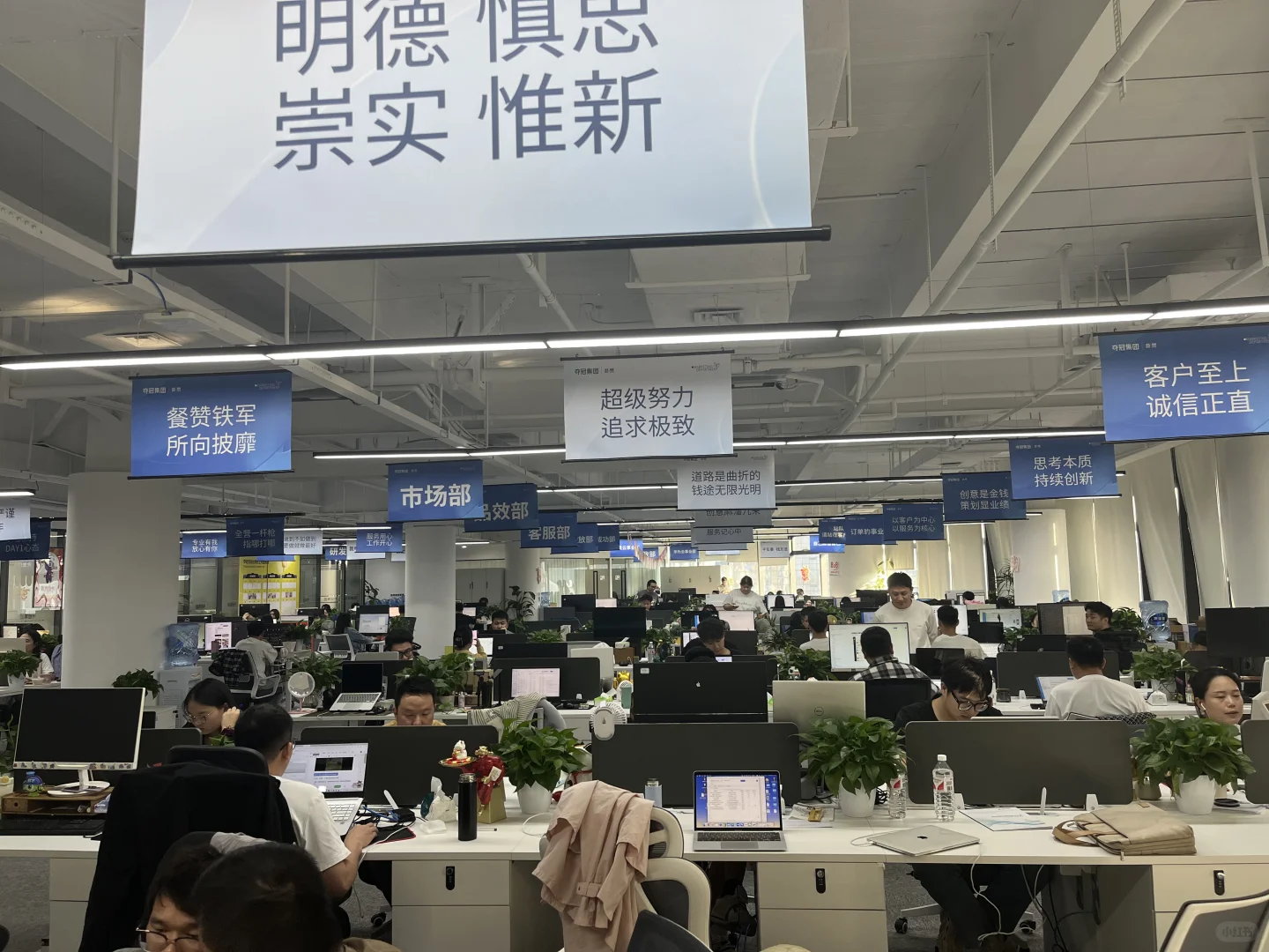 公司产品找地推团队，电销团队