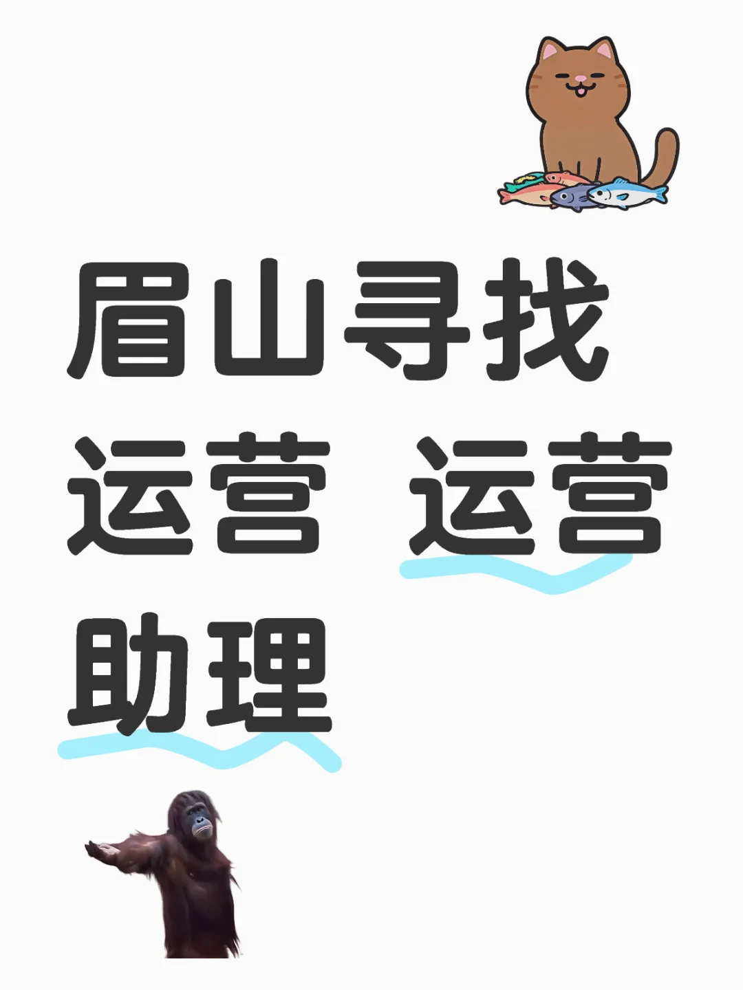 寻找寻找
