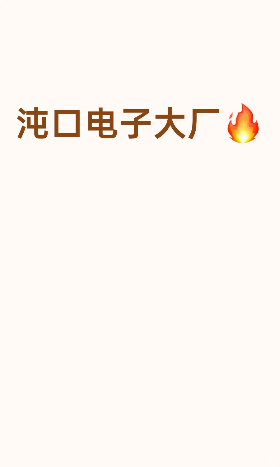 沌口电子大厂🔥