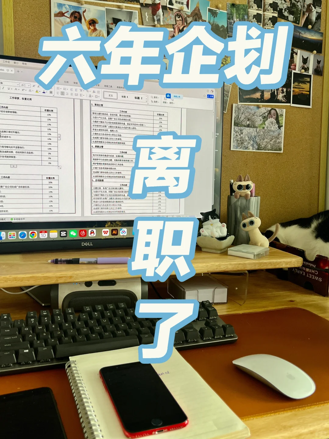 （离职文件分享）对商业企划这个岗位死心了