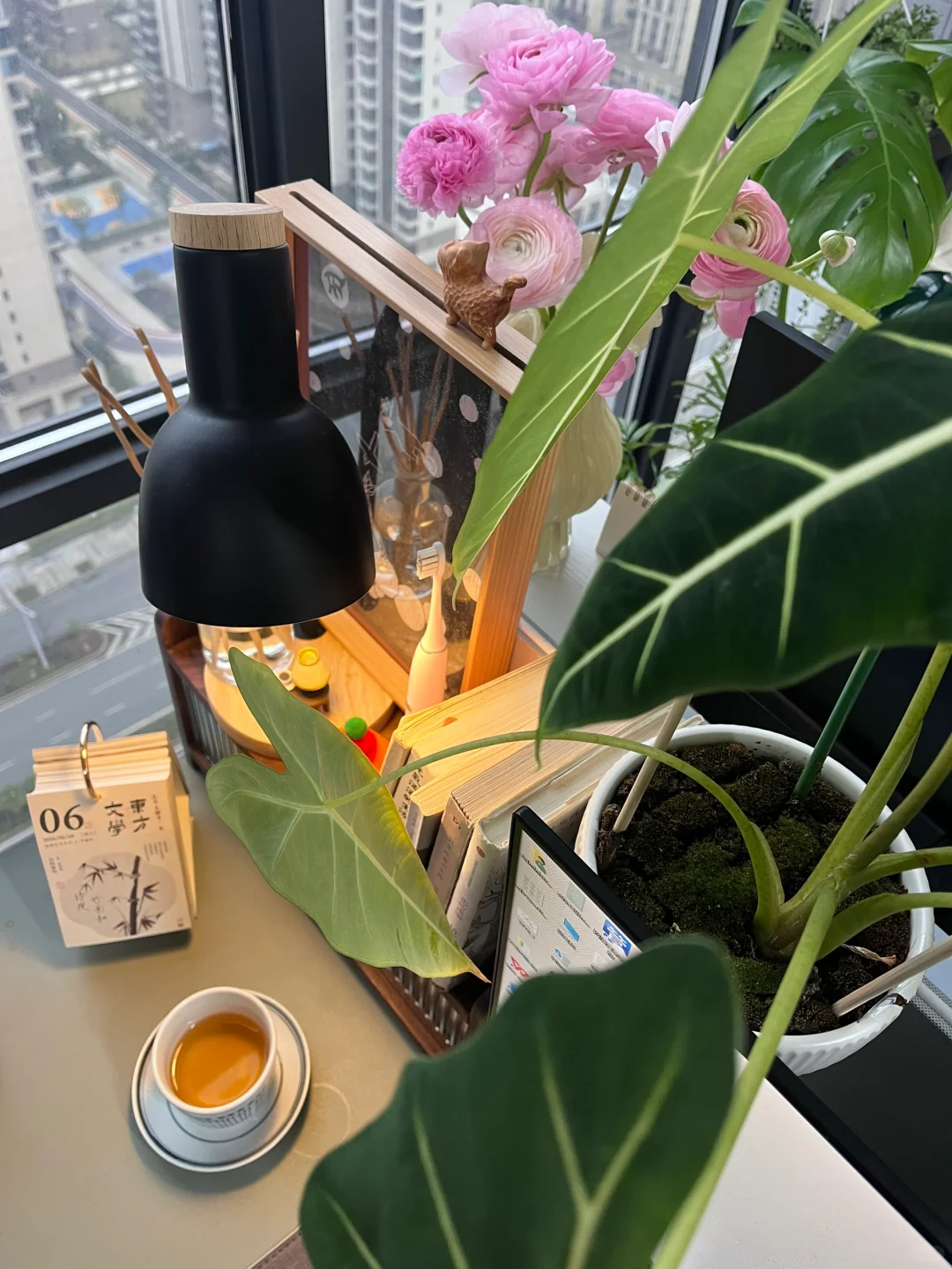 在公司我也有一个小世界🌎