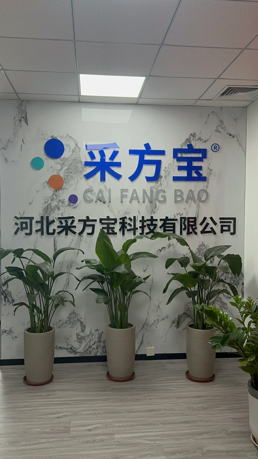 推荐公司