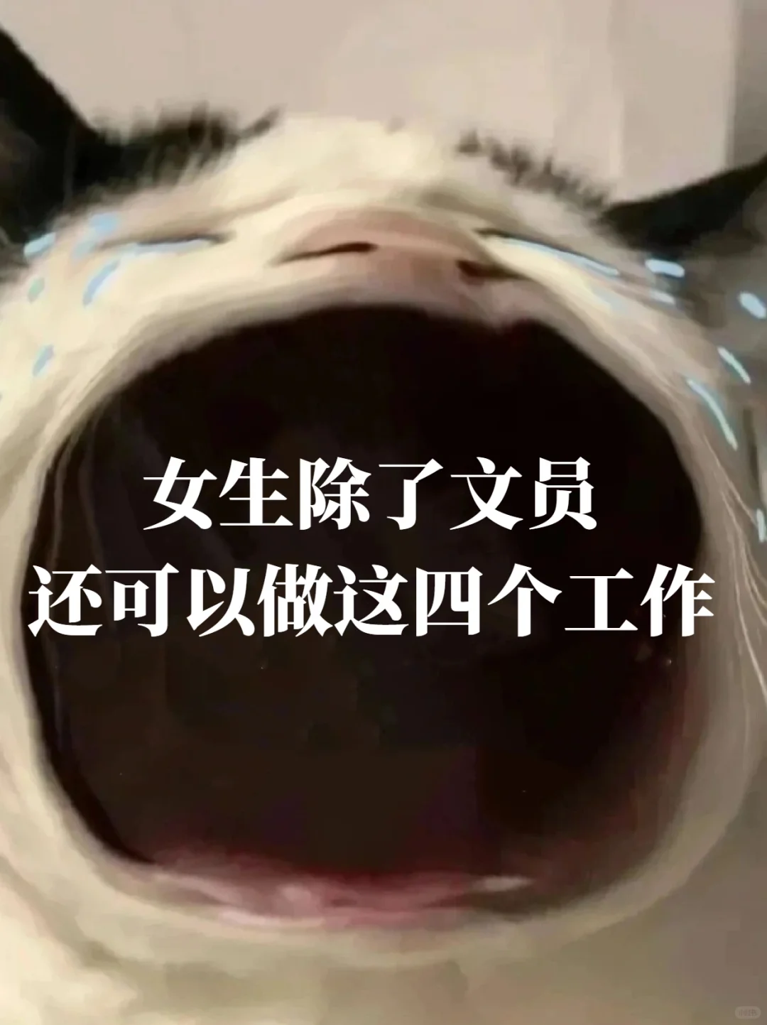 女生除了做文员，还可以做这四个工作