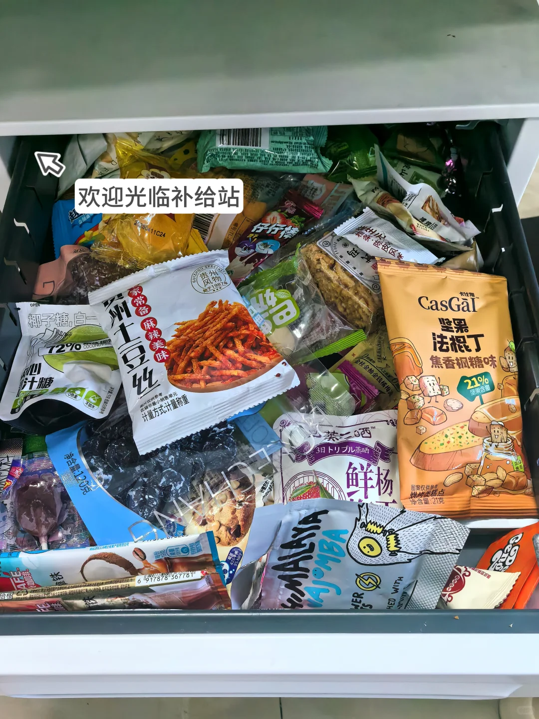 00后入职头部宠物公司的一天