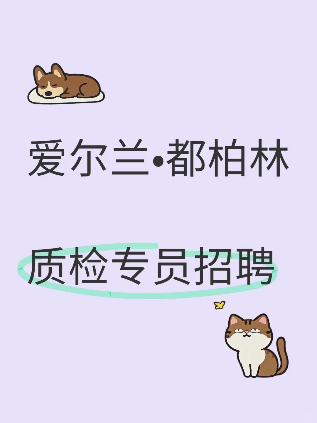 都柏林•质检专员招聘
