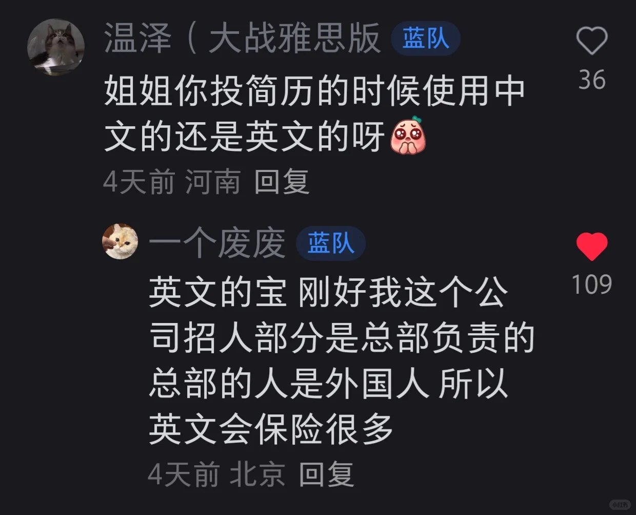 太棒啦，是邪修，三无留子找工作有救了