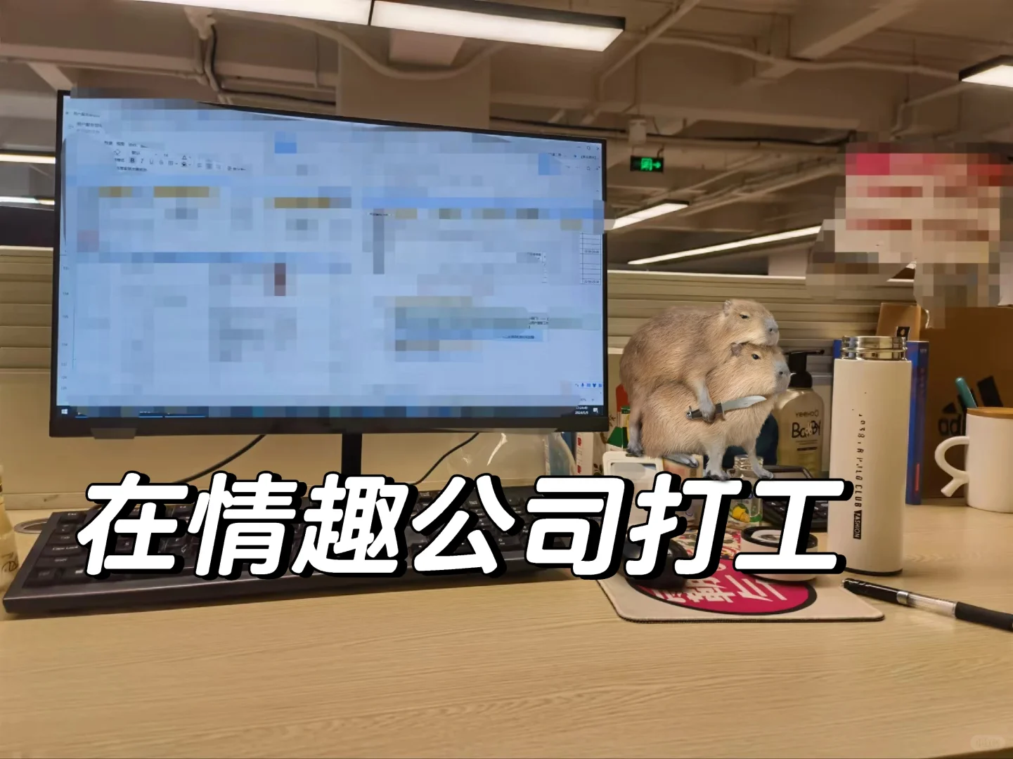 找工作不顺心的时候，🐔被晴趣公司录取了