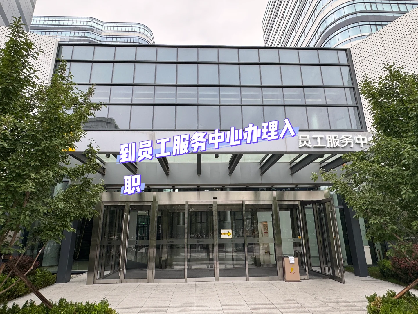 回归，美团入职！