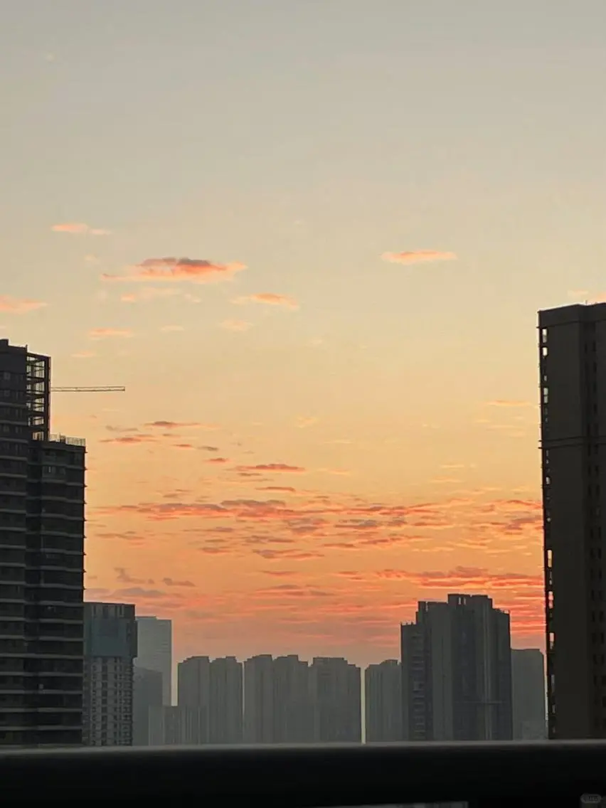人才池，管理者的魔鬼艺术！打工人实惨