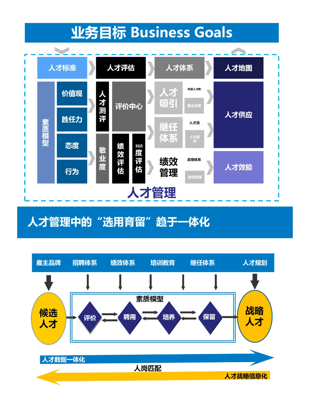 HR如何做好人才管理：储备、盘点、发展