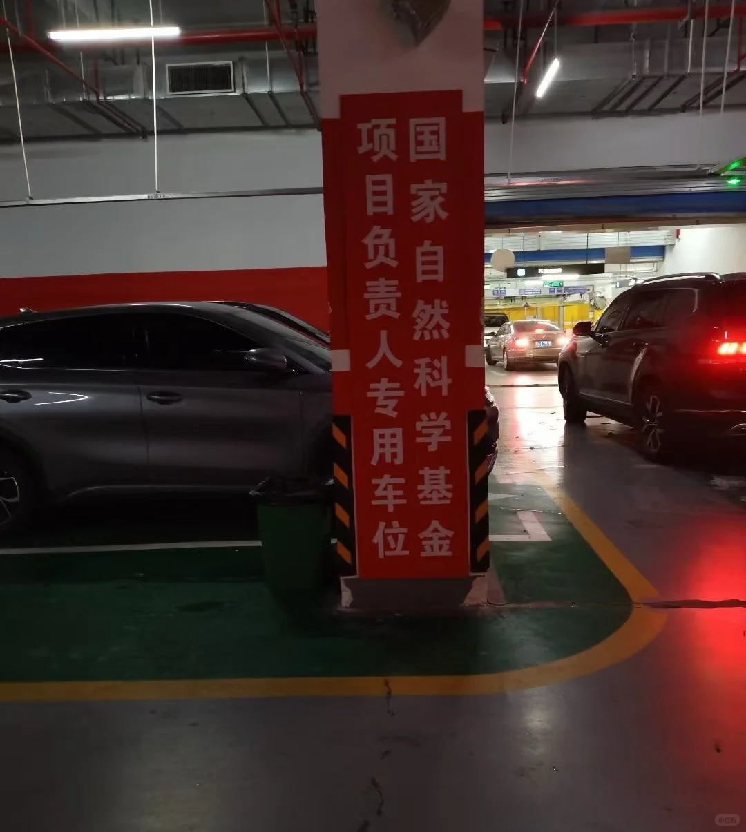 医生仿佛是被优绩主义规训得最成功的群体
