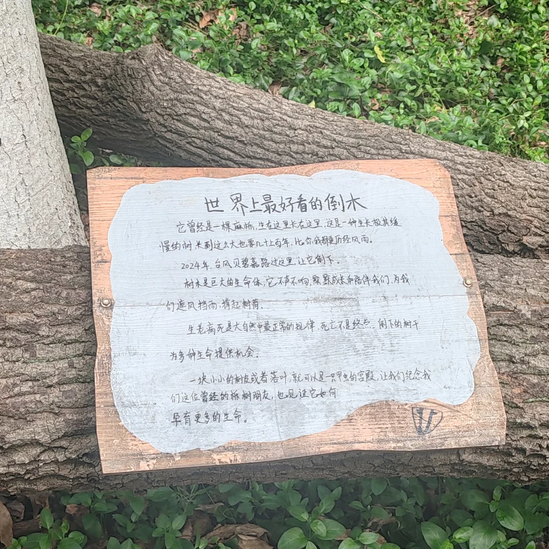 企业人才培养的“721法则”