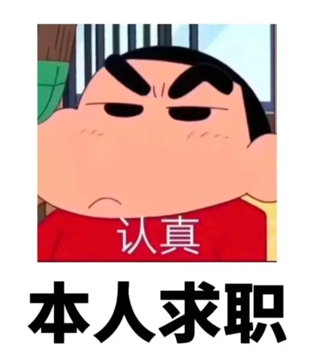 找工作，莒南莒南！
