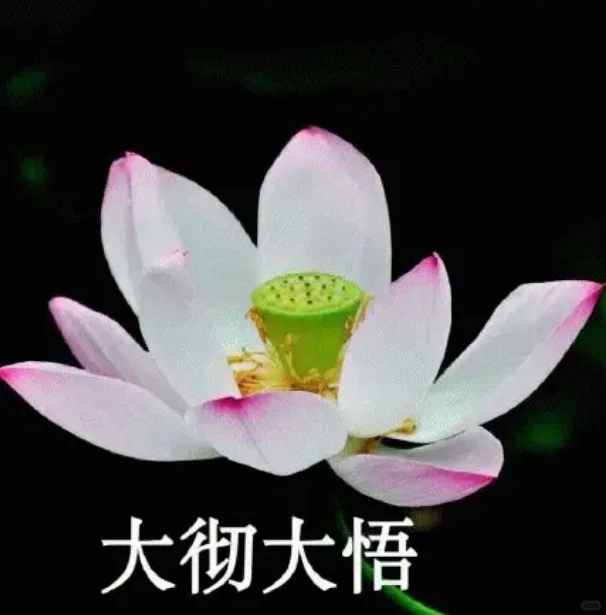 你知道从乡镇科员到县长要几年吗