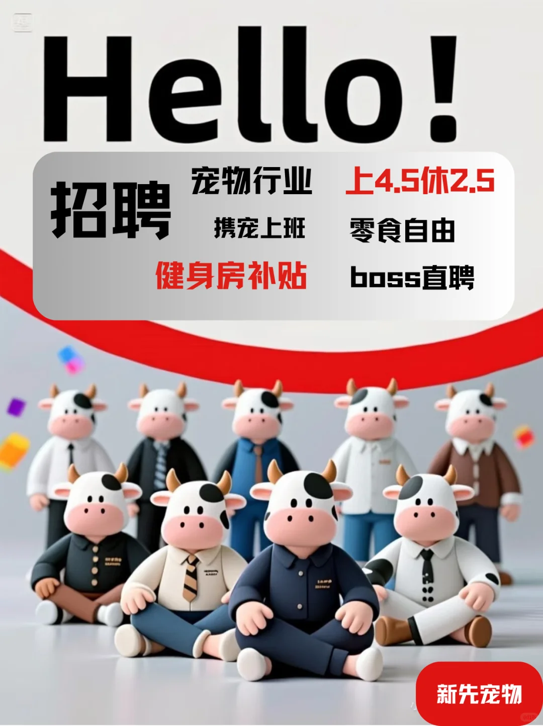杭州初创宠物公司招聘，上4.5休2.5