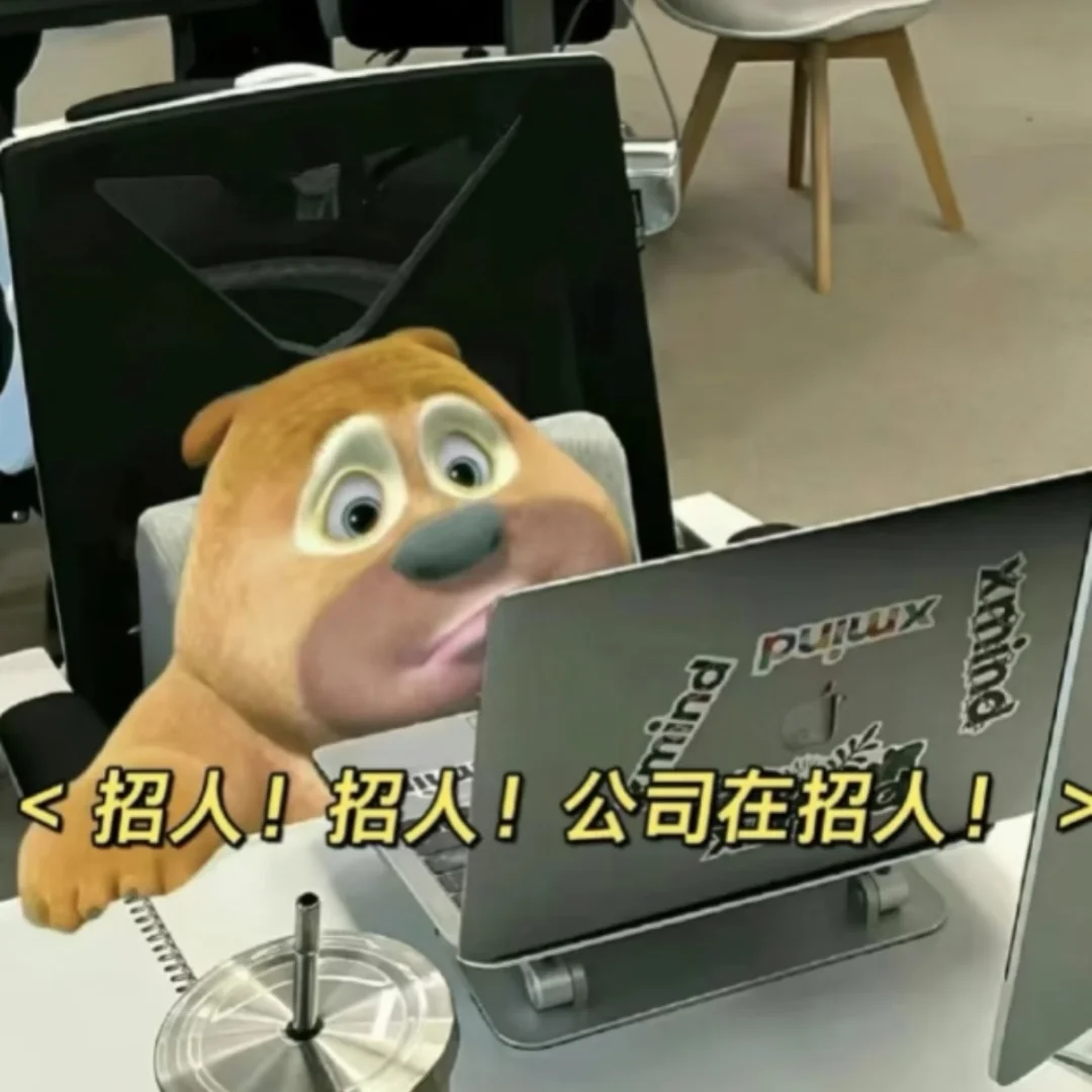 公司扩招 快来啊家人们