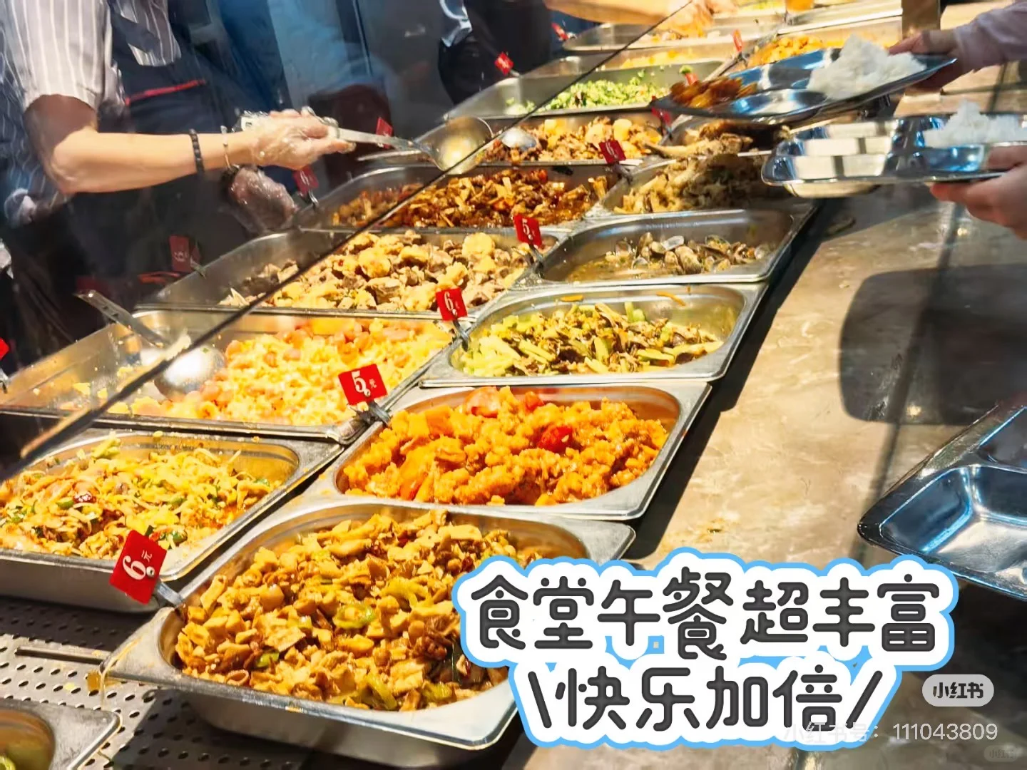你怀才不遇吗？正好，我们公司怀财不遇，
