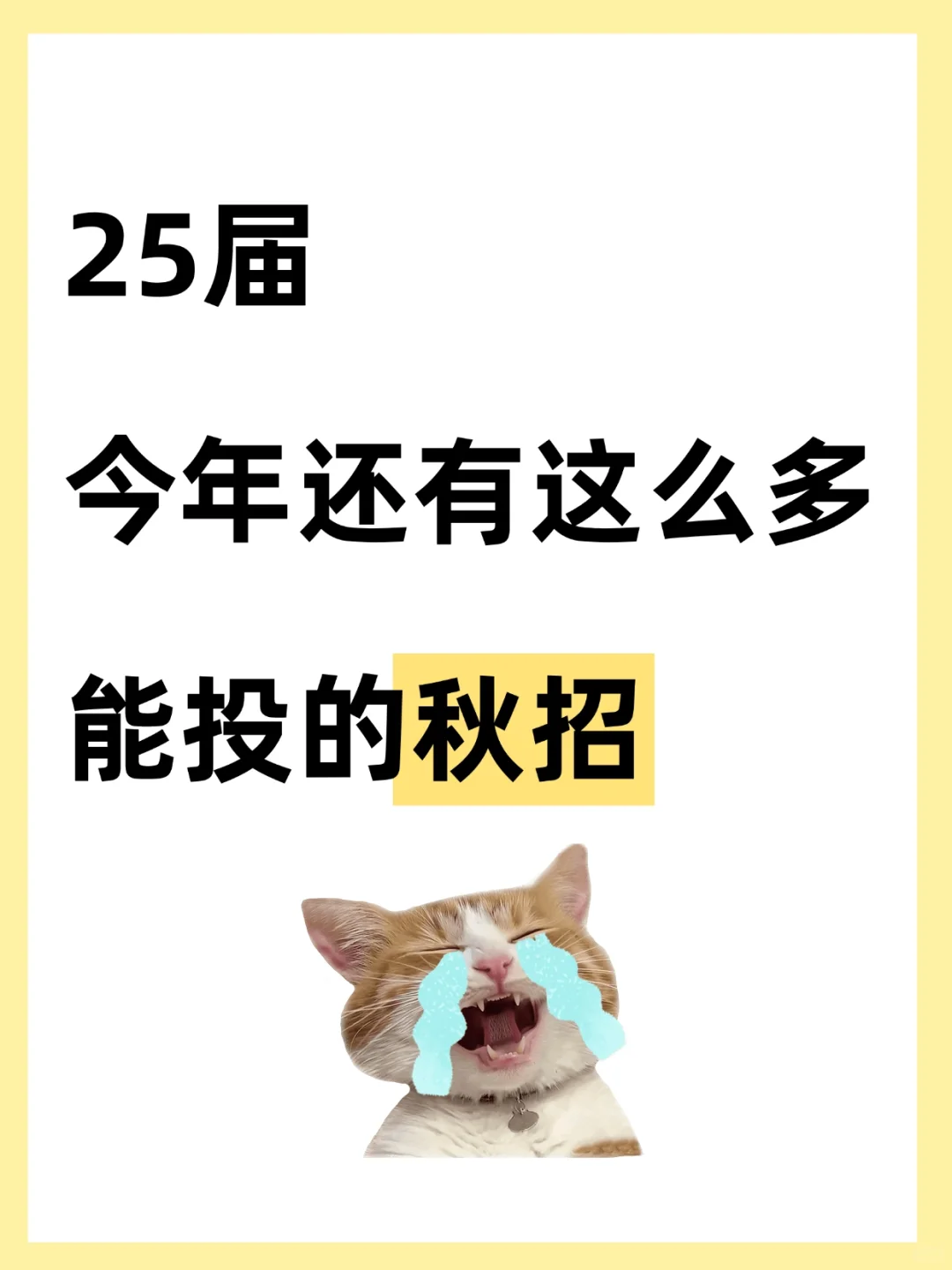 25届今年还有这么多能投的秋招‼️