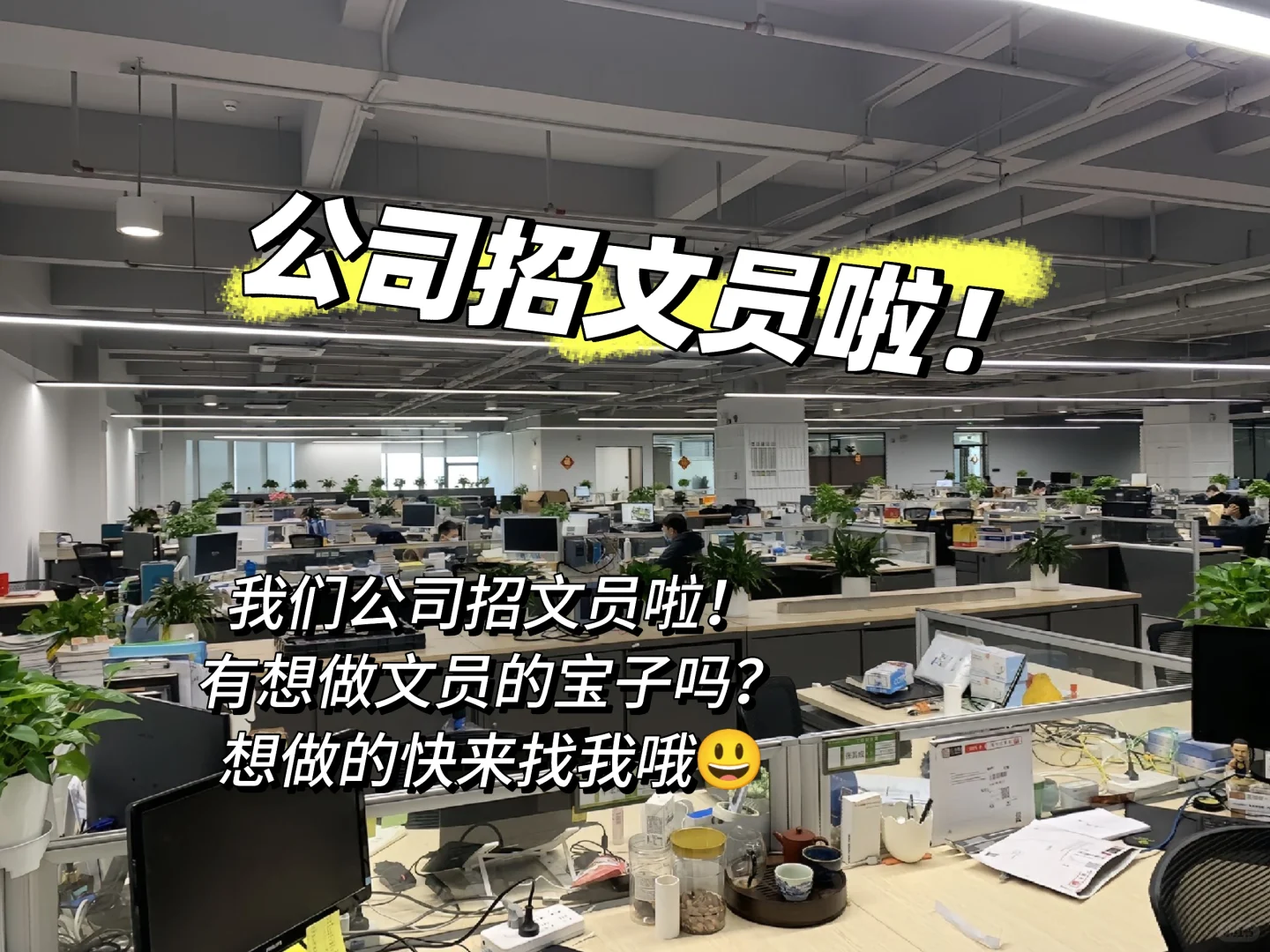 公司开始大量招文员啦！
