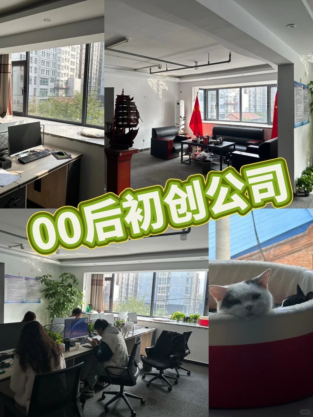 权诚网络科技有限公司招人啦！